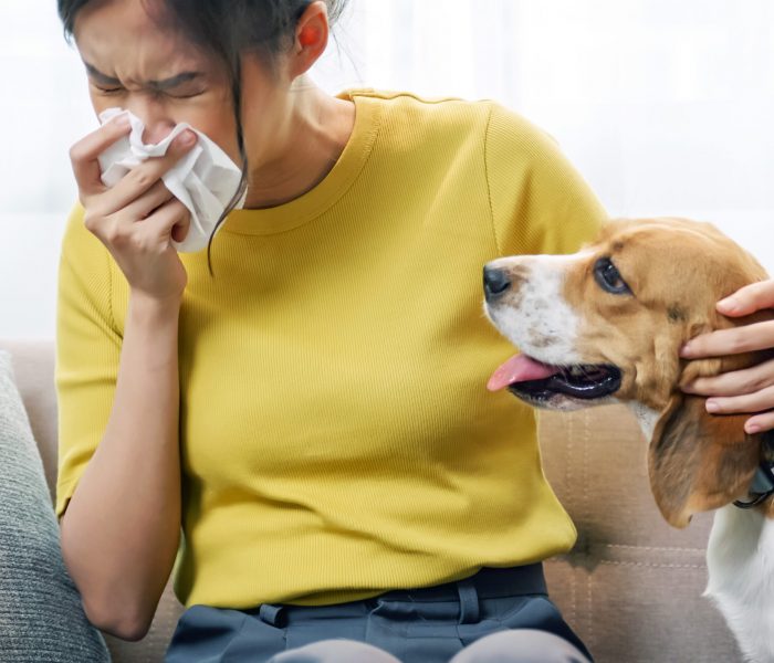 Allergene-cut-AdobeStock_563558400 Allergene-cut-AdobeStock_563558400